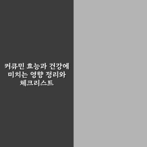 커큐민 효능과 건강에 미치는 영향 정리와 체크리스트